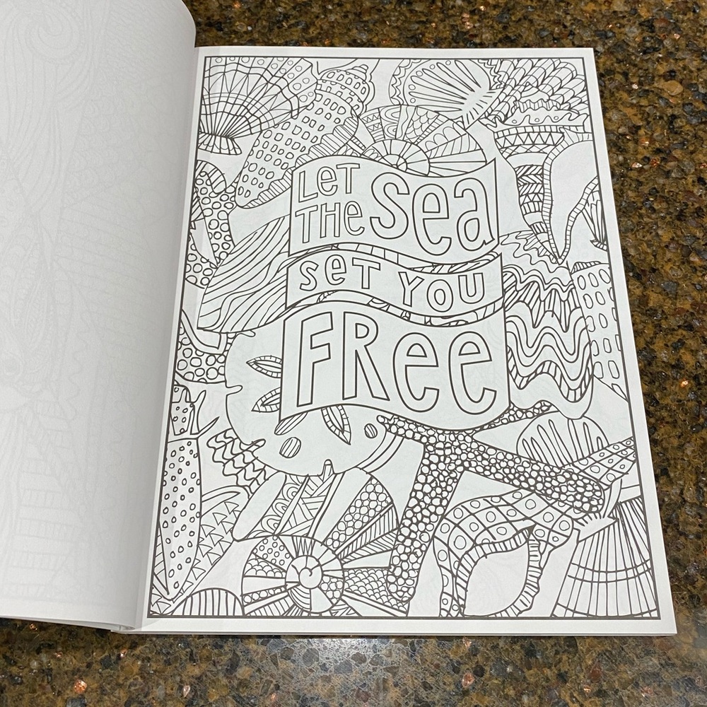 Splash Of Color Adult Coloring Book - Picture 5 of 11